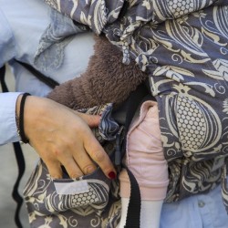 Ергономична раница регулируема HuggyBerry Nar Mist- размер бебе